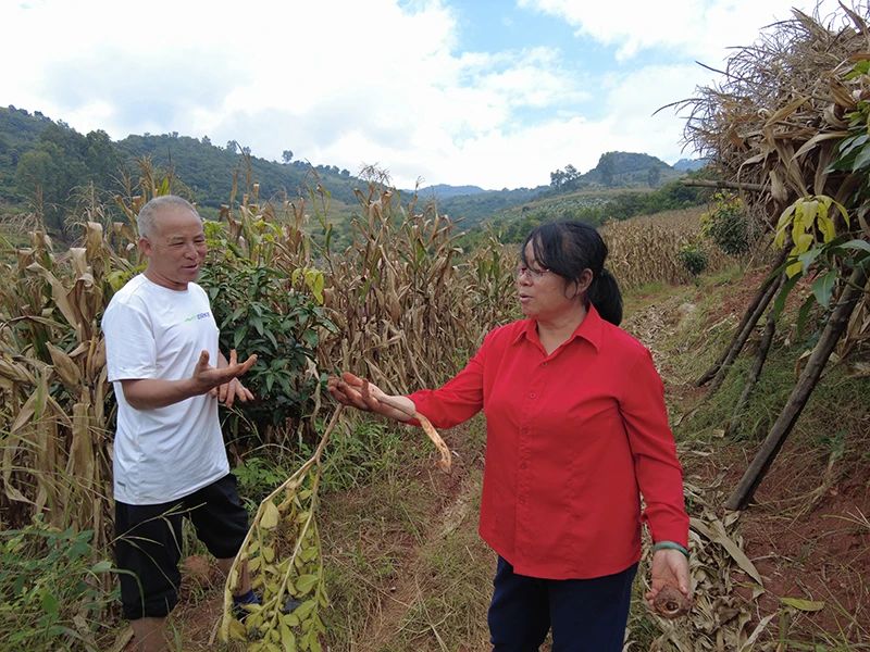 微信图片_20241012164341.jpg 微信图片_20241012164341.jpg