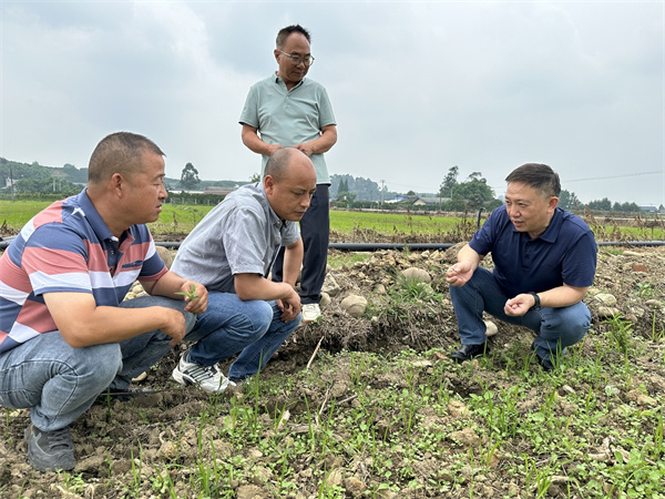 20250618A2.jpg 20250618A2.jpg