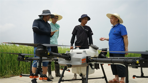 20250618A3.jpg 20250618A3.jpg