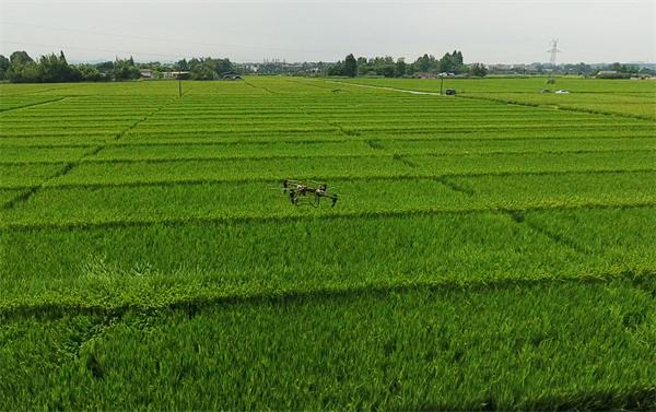 20250618A4.jpg 20250618A4.jpg