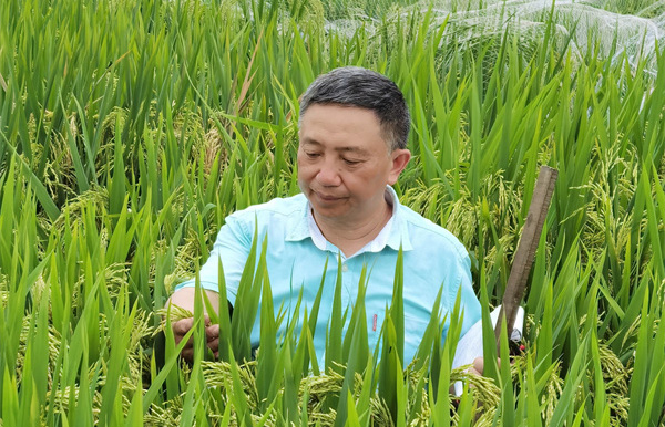 20250618A5.jpg 20250618A5.jpg